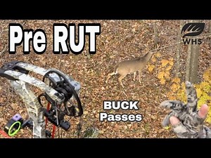 2019 Pre Rut Hunting Action and Strategies