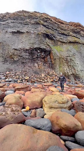 55K views · 1K reactions | *Use code FOSSIL20 for 20% off your entire...