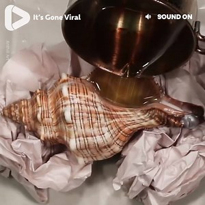 15M views · 2K shares | He poured molten aluminium inside this seashell and the result was stunning!  Anthillart.com | IGV | Facebook