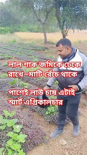 Two crops in one field 🌱 Red leafy vegetables covered the soil, gourd next to it, an example of s...