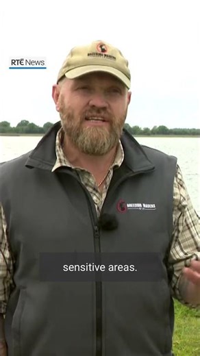 Warning over risk to endangered birds’ nests from dogs