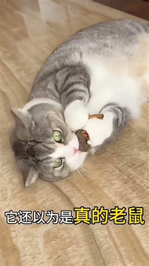 Cat Toy Squeaky Mouse with Smart Sensor