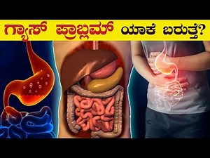 Gas Problem Explained | How to Cure Gas Pain | Gastric Causes, Symptoms, treatment | VismayaVani