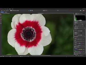Affinity Photo - Develop Persona