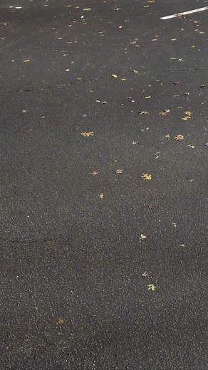 Everyone wants to be Hero until it’s time to do what Hero’s do 🤦🏼‍♂️😪 @dtay.known #comedy