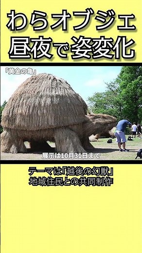 【アート】わらオブジェ 昼夜で姿変化 新潟市・上堰潟公園