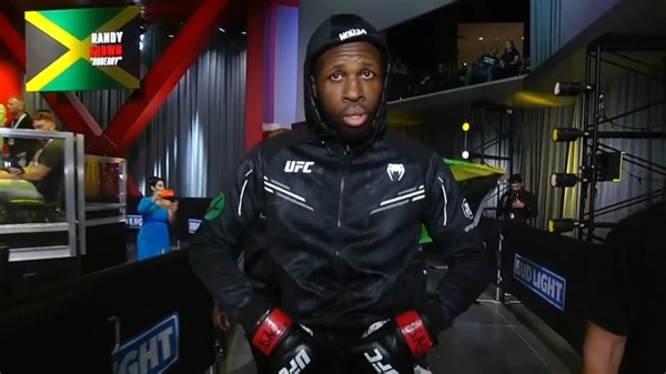 UFC Fight Night Highlights: Brown def. Salikhov via TKO