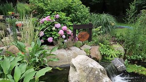 19K views · 468 reactions | This backyard has all you need with a recreation pond, koi pond, fire pit, and a full pondside bar! I'm never leaving! Watch full video >> https://youtu.be/4d8Vtpl5VyI | Greg Wittstock the Pond Guy | Facebook