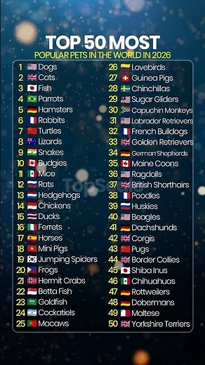 The 50 Most Popular Pets in the World in 2026 #ranking