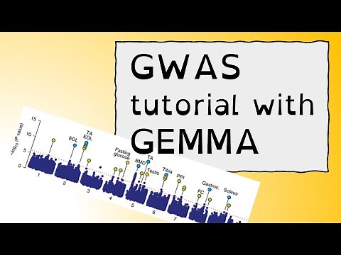 GWAS tutorial with GEMMA
