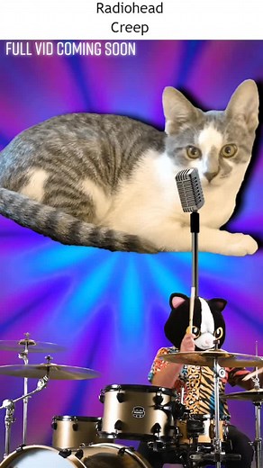 Creep by Radiohead - A Fun Cat Cover