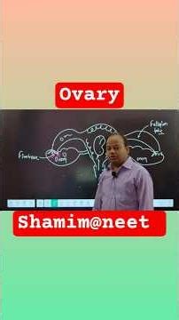🌸 Ovary Function Explained in 1 Minute | Class 10 Biology#Shorts