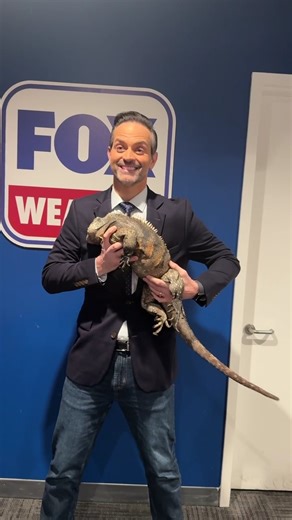 CLOSE ENCOUNTER 👀🦎: FOX Weather meteorologist Nick Kosir gets up close and personal with Castro from Jungle Bob's Reptile World. | FOX Weather