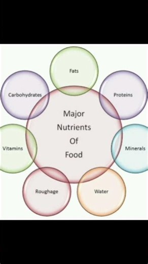 name the major newtrients in our food 6th class questions #education #viral #shorts