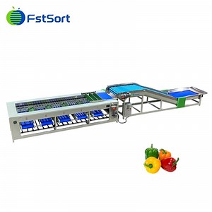 [Hot Item] Bell Pepper Size Grader Vegetable Processing Plant Tomato Weight Sorter Vegetable Sorting Grading Machine for Sale