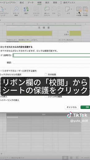 エクセル: ロックされたセルを設定して共通ファイルの保護方法