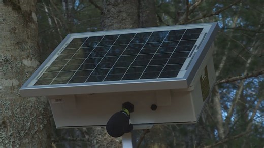 Soundscape project uses solar-powered devices to detect birds from afar