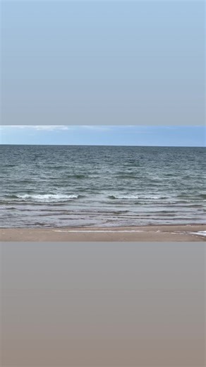 Nature break! Take 20 seconds to clear your mind | Those Nature People