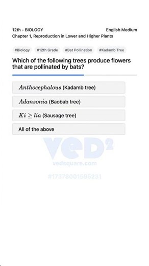 Biology 12th Bat Pollinated Trees Explained