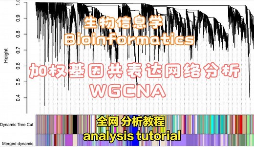 加权基因共表达网络分析（WGCNA）教程 | 前言，为什么做WGCNA分析？