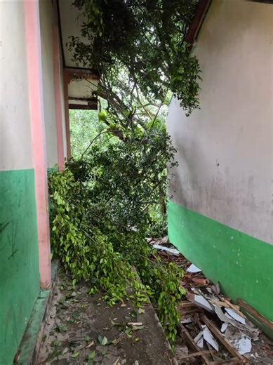 cuaca ekstrem akhir-akhir ini membuat salah satu sekolah menengah pertama SMP Negeri 2 Bobotsari pada tanggal 24 Januari 2026 mengalami kerusakan di beberapa bagian lingkungan kelas/sekolah akibat tertimpa pohon tumbang di sekitar SMP Negeri 2 Bobotsari. 🎥: tt/ @spentwobos #fyp #bobotsari24jam #purbalingga