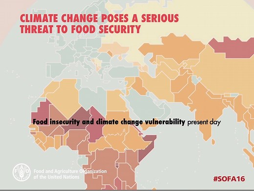 75K views · 1.1K reactions | How we mitigate climate change and adapt to it today will determine whether humanity succeeds in eradicating hunger and poverty by 2030. We need to act now! #ParisAgreement #COP22 | Food and Agriculture Organization of the United Nations (FAO) | Facebook