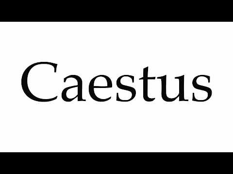 How to Pronounce Caestus