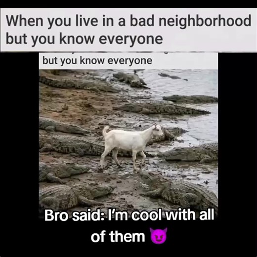 Living in a Challenging Neighborhood: Finding Community