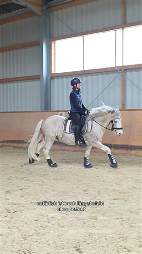 Canter Progress #horse #tinker #equestrianjourney #equestrian #horses