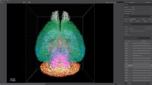 Lychnis 1.5.12.3 操作演示
