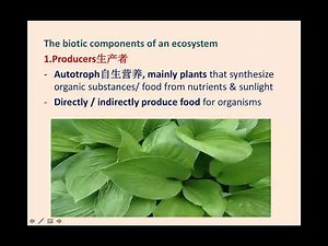 Biology Form 4 Chapter 8 Dynamic Ecosystem part 1