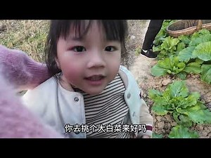 冬天到来整片田里光秃秃 婆婆的菜地却绿油油 种满了各种蔬菜 太有口福啦