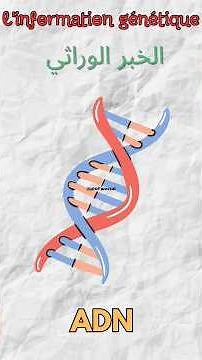 Notion de l'information génétique 🧬 | شرح بالدارجة