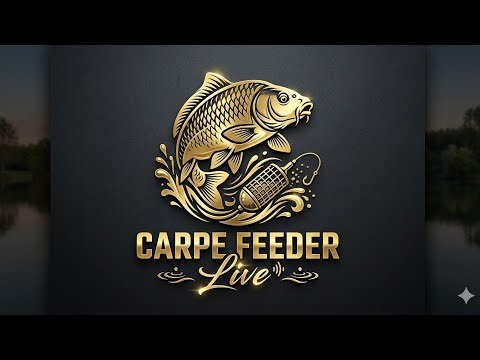 zouny carpe est en direct carpe au feeder 😉
