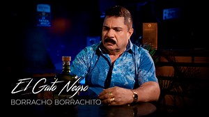 Borracho borrachito🍺 | El Gato Negro