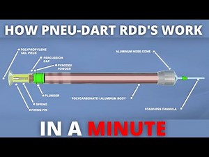 Learn How Pneu-Dart RDD Devices Work In A Minute