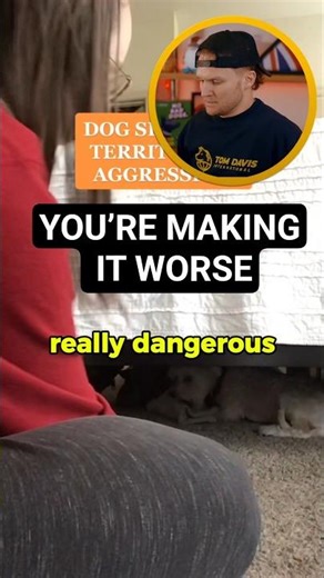 Think you’re helping your dog? This mistake can actually make resource guarding worse