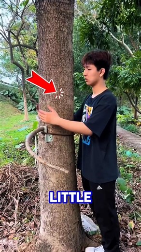 Lonely Boy Builds Tree Hug Machine for Comfort No One Gave Him... Heartbreaking DIY 😢🌳