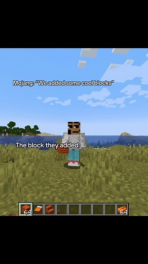 Laziest Minecraft Update Ever: New Blocks Explained