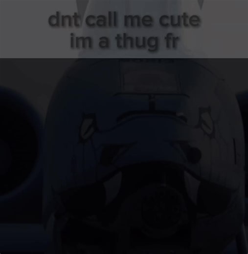 A10 WARTHOG (@d3xter182)’s videos with original sound - A10 WARTHOG