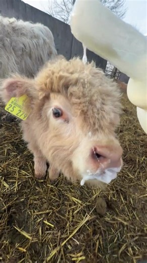 Exploring the Farmer Life and Agrarian Challenges