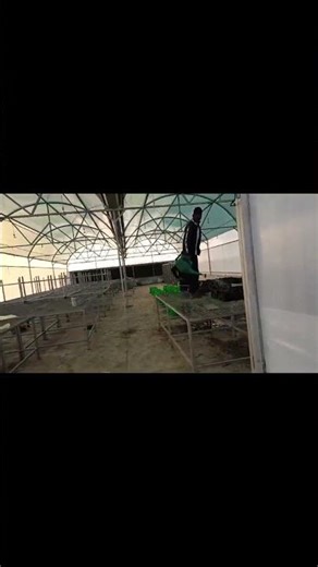 ELP Program in automatic polyhouse #short