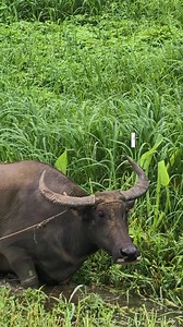 blessed tuesday 🙏❤️ #tuesdaymotivation #tuesday #tuesdayspecial | Paul Real