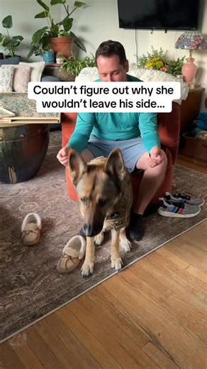 Poor baby was trying to tell us the whole time | Ashley Herman