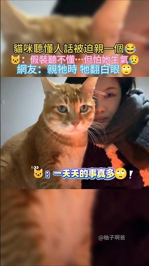 The cat reluctantly responded to its owner 😂 🐱: Pretending not to understand, but... afraid of ma...