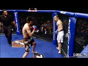 WEC Torres Highlights