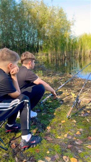 Ловимо не тільки рибу, а й кайф 😎 #fishing #fishingvideo #fishinglife #river #brother #shorts #reel