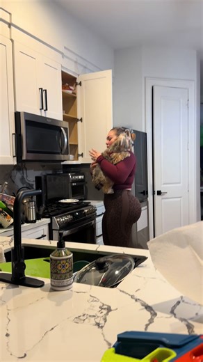 Newborn Yorkie 😂 he’s 1 years old #yorkiesoftiktok #yorkie #partiyorkie