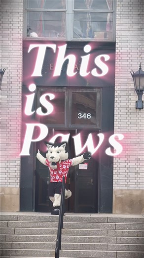 Icon, legend, Paws ✨ | Northeastern University