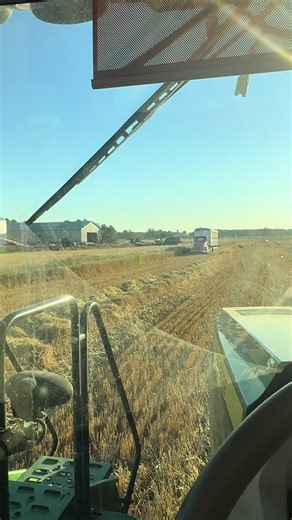 Wheat 2025 done and the offical countdown to fall harvest officially begins now!! #fyp #farmer #foryoupage #farmlife #farm